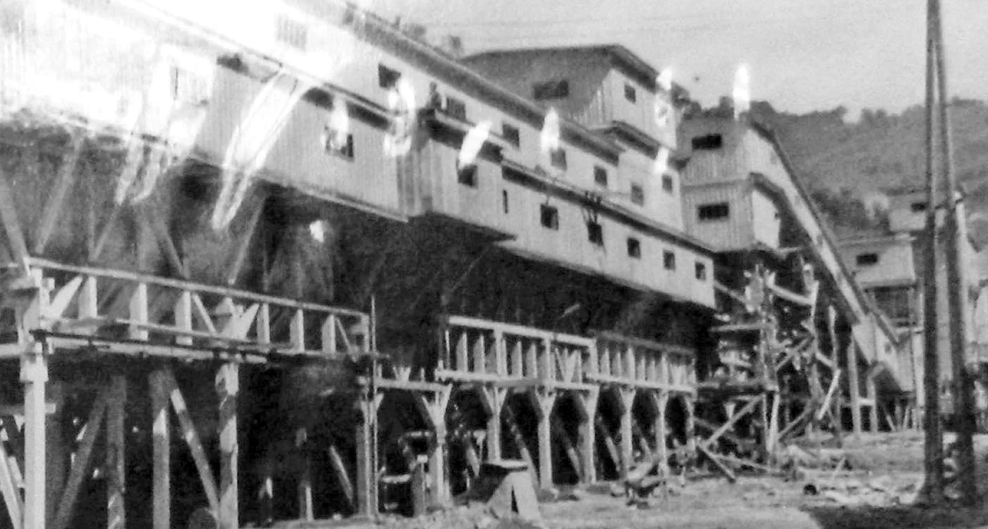 Mina Băița. Foto: Arhivele naționale, studiul cercetătoarei Liliana Iuga