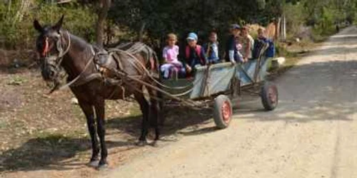 Elevii merg la şcoală cu căruţa 