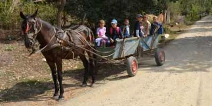 Elevii merg la şcoală cu căruţa 