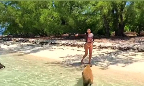 Kim Kardashian a fost îngrozită de apariţia porcuşorilor  png
