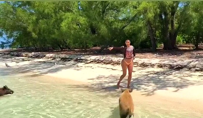 Kim Kardashian a fost îngrozită de apariţia porcuşorilor 