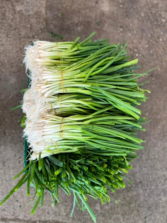 Legume produse în „Grădina din Băleni”. FOTO