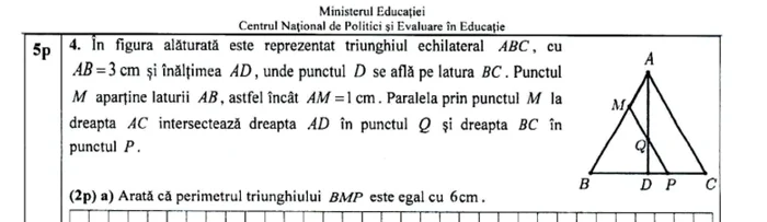 subiecte matematica