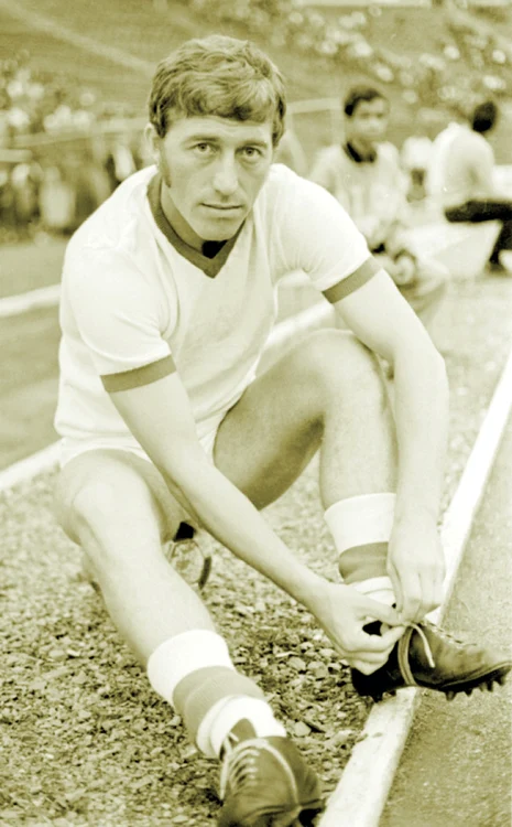 nicolae dobrin