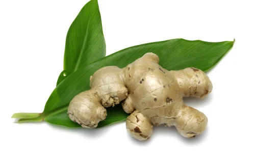 1 ghimbir fotolia 9304757 subscription l jpg jpeg