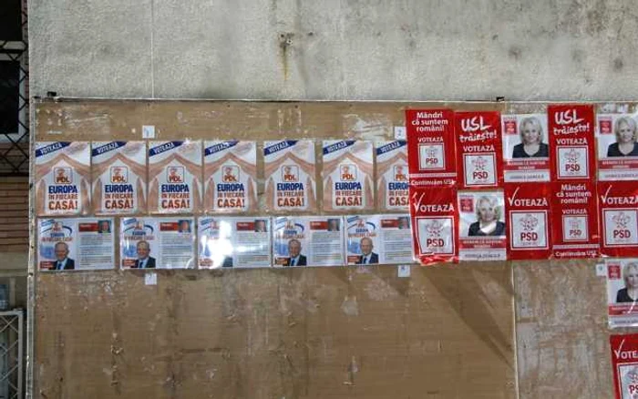afise electorale alexandria