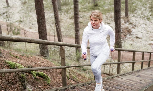 urcat scari shutter 0 jpeg