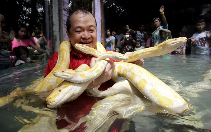 sarpe foto reuters