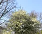 IMG 4261 jpeg