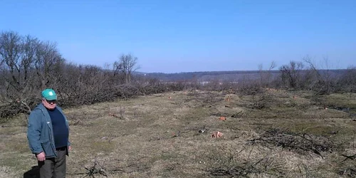 Livezi taiate de hoţi I.L. Caragiale