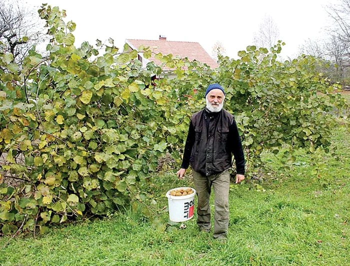 Omul spune că planta are nevoie doar de un tratament pe bază de fier şi de multă apă