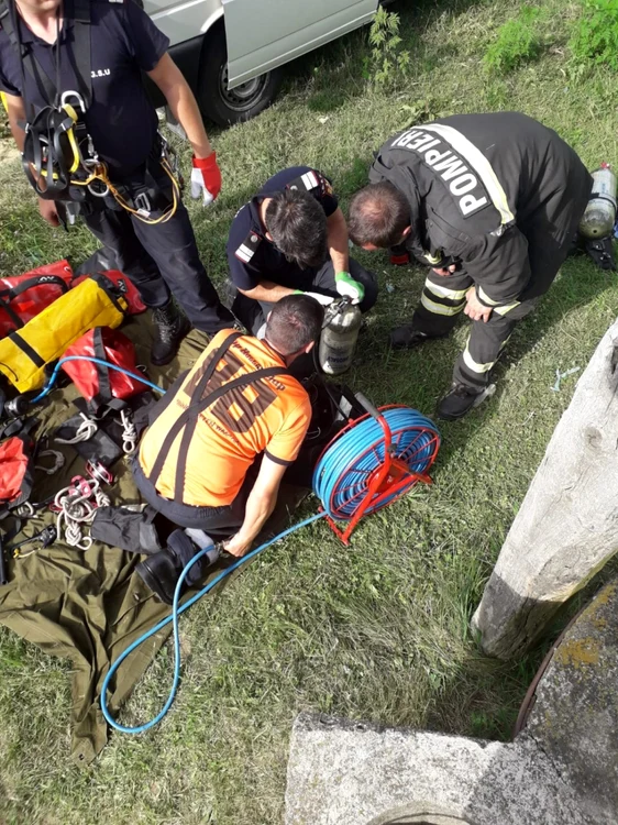 Câinele a fost salvat de pompieri FOTO ISU Drobeta 