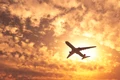 avion curse noi iasi png