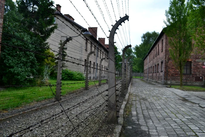 Auschwitz FOTO Arhivă