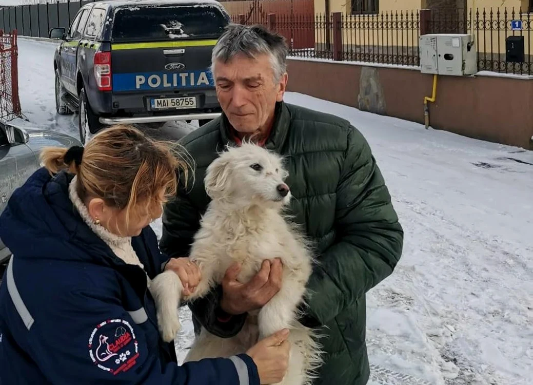 Patrupedul a fost predat unei asociații de protecție a animalelor FOTO Poliția Neamț