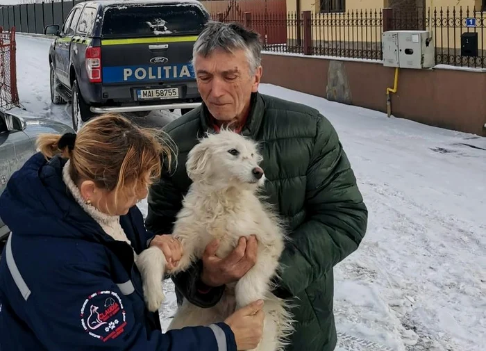 Patrupedul a fost predat unei asociații de protecție a animalelor FOTO Poliția Neamț