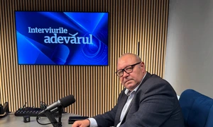 Senatorul PNL Daniel Fenechiu la Interviurile Adevărul FOTO Adevărul