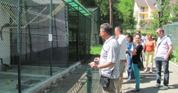 Gradina Zoologica din Sibiu atrage foarte multi vizitatori - Foto Arhiva