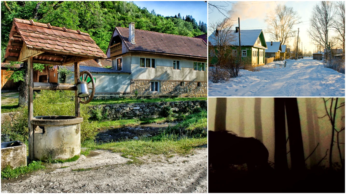 Animalul periculos din România care a speriat localități întregi