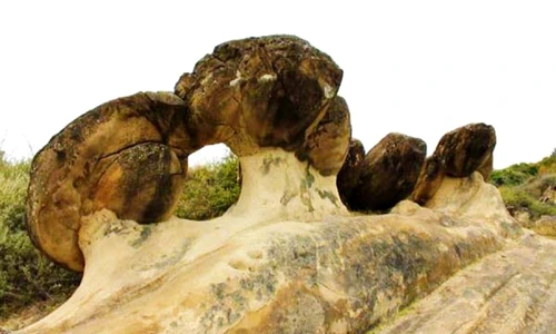 1 73745 original jpg jpeg