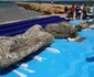 Arheologii au scos din apă figuri regale și sfincși din perioada pre-romană / Sursa foto: AFP
