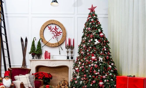 1 decor craciun jpg jpeg