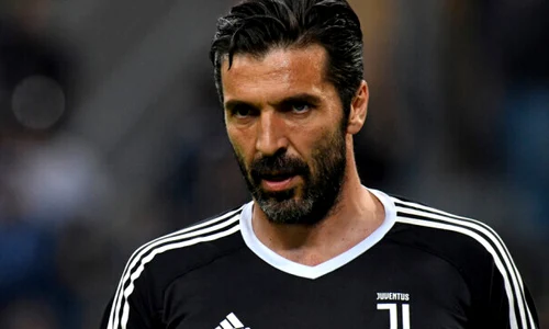 buffon jpeg
