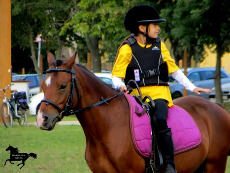 pony club