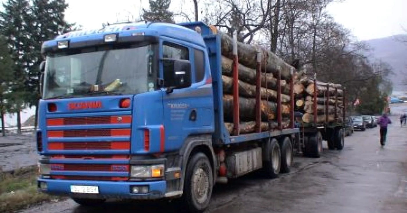 Camioanele cu lemnul furat sunt oprite în trafic 