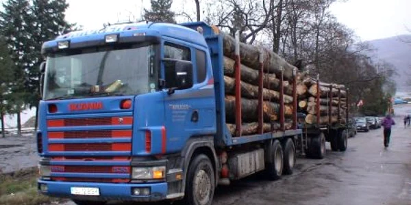 Camioanele cu lemnul furat sunt oprite în trafic 