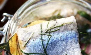 CLIIMA20121230 0034 1 jpeg