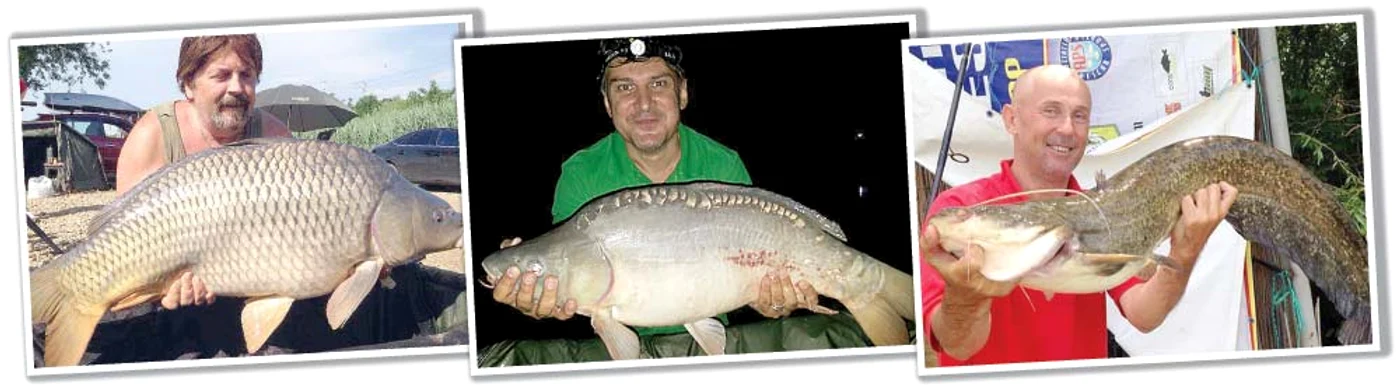 
    Adrian Daminescu a capturat un crap de 21,5 kg, Adi de la Vâlcea, unul de 12,2 kg, iar Garcea a pescuit un somn de 10 kg  