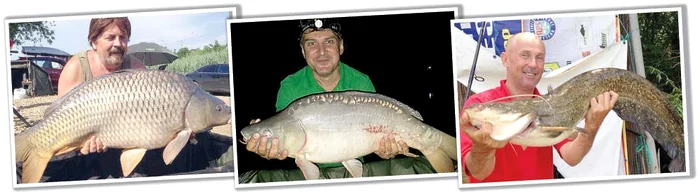 Adrian Daminescu a capturat un crap de 21,5 kg, Adi de la Vâlcea, unul de 12,2 kg, iar Garcea a pescuit un somn de 10 kg