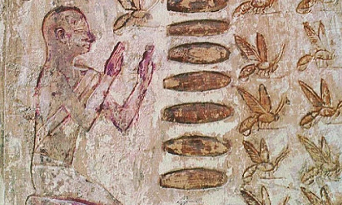 Sufletul şi mierea: ce simboliza albina? jpeg