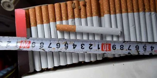 slobozia tigari