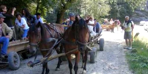 Cei mai mulţi turişti au stat la pensiuni