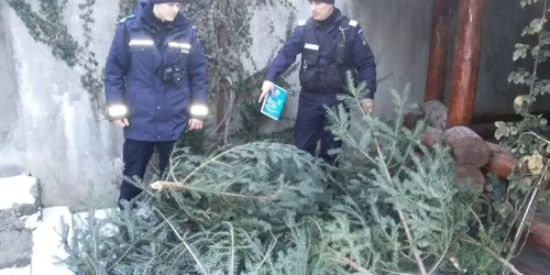 jandarmi brasov brazi furati