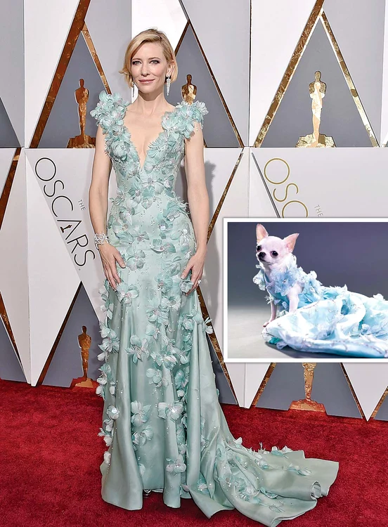 Cate Blanchett (50 de ani) într-o superbă rochie Armani. Rochia bleu arată la fel de şic precum cea îmbrăcată de Cate Blanchett