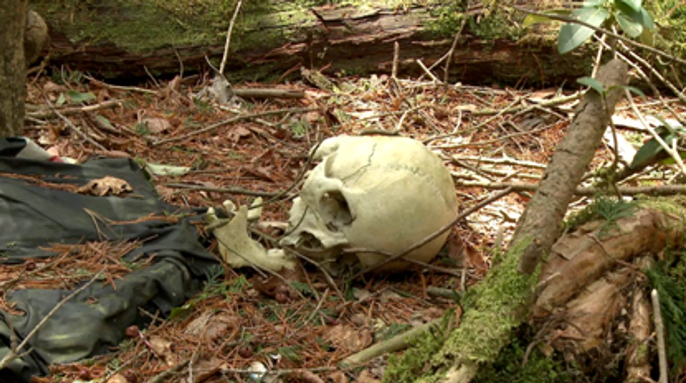 Geologul Azusa  Hayano a descoperit peste o sută de cadavre în pădurea sinucigașilor