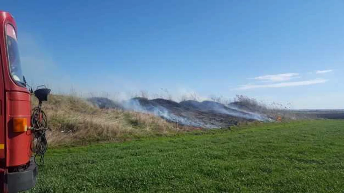 Incendiul a cuprins o suprafaţă de aproximativ 6 hectare FOTO ISU Călăraşi
