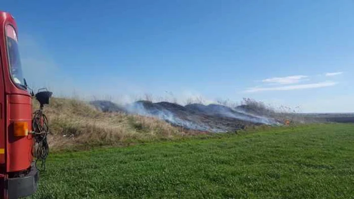 Incendiul a cuprins o suprafaţă de aproximativ 6 hectare FOTO ISU Călăraşi