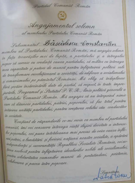constantin dascalescu