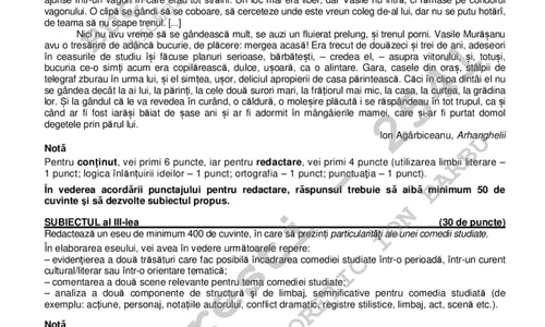 Bacalaureat 2020  Elevii au avut la dispoziție trei ore pentru a rezolva subiectele la proba de Limbă și Literatură Română  jpeg