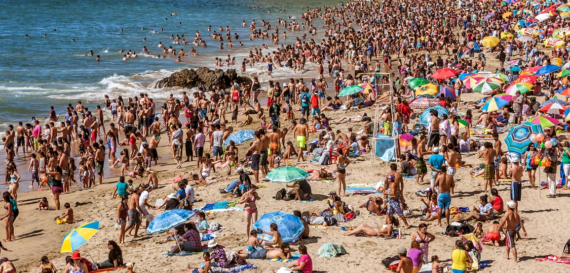 Urinatul în mare dăunează, printre altele, faunei marine. FOTO Shutterstock