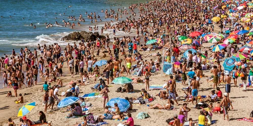 Plaja aglomerata FOTO Shutterstock jpg