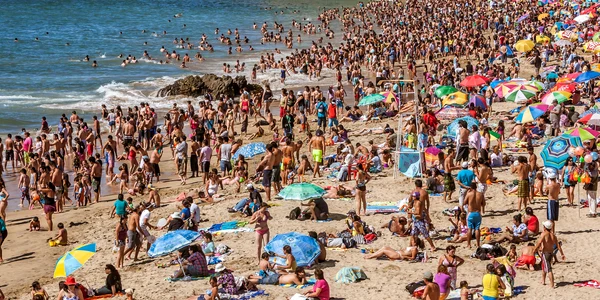Plaja aglomerata FOTO Shutterstock jpg