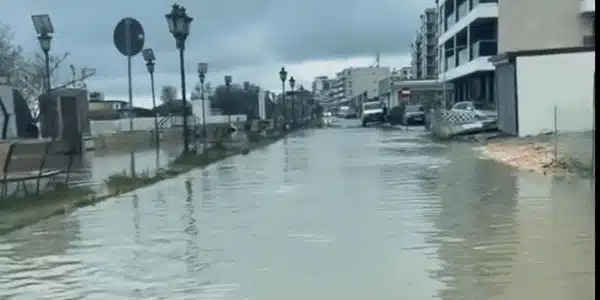 inundatii gif