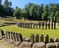 Saemizegetusa Regia  Foto Daniel Guță, ADEVĂRUL (6) jpg