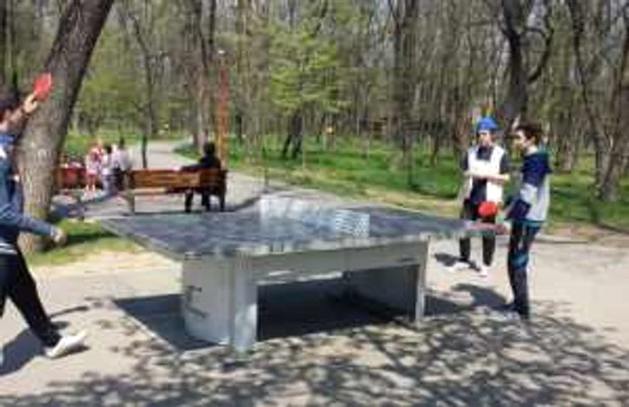 severineii au iesit la plimbare in pădurea crihala FOTO Corina Macavei