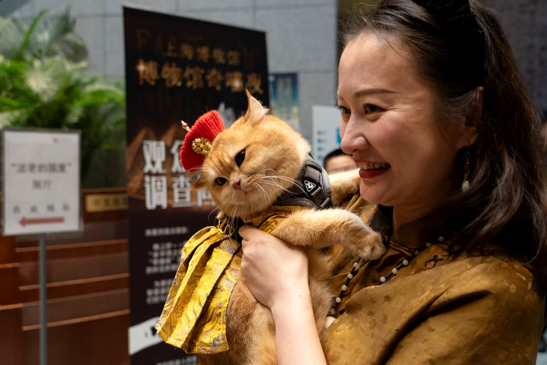 Motanul Trump a venit îmbrăcat precum un împărat chinez, la Muzeul din Shanghai
